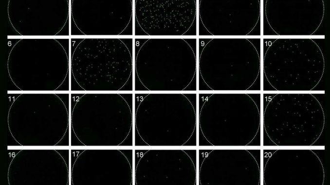 Researchers-develop-digital-test-to-directly-measure-HIV-viral-load.jpg