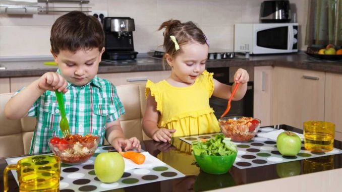 The-mediation-roles-of-parental-role-modeling-and-food-availability-in-the-socioeconomic-inequalities-of-childrens-diet.jpg