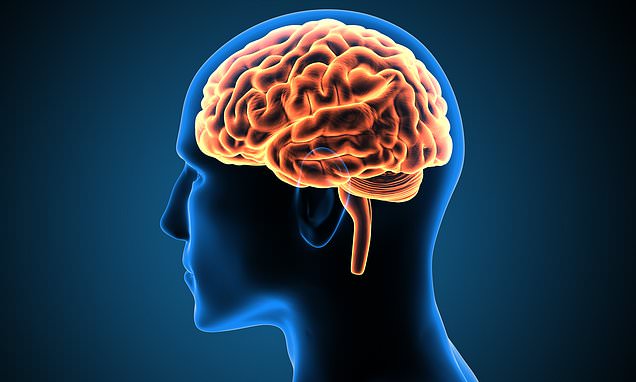 5-minute-aposbrain-breaksapos-can-increase-productivity-by-over-50-per-cent.jpg
