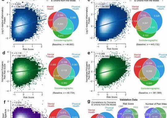 A-new-model-to-identify-and-predict-chronic-pain.jpg