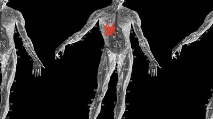 Dementia-and-the-liver-brain-axis-What-we-know.jpg