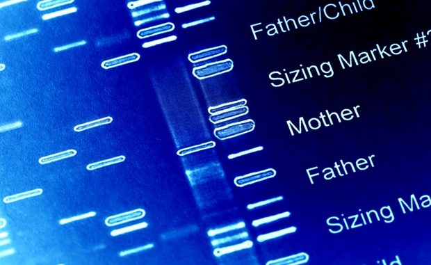 Universal-genetic-testing-may-improve-risk-stratification-and-treatment-for-rare-and-lethal-cancer.jpg