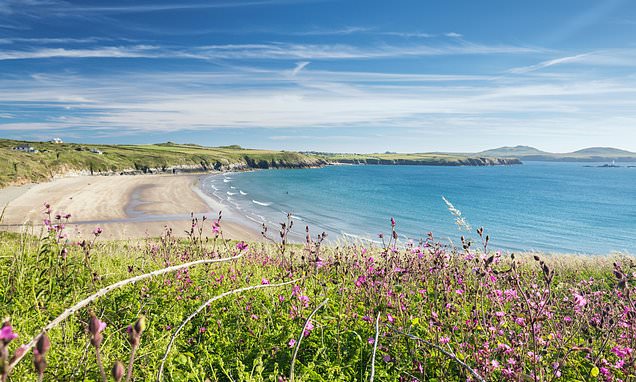 Urgent-bird-flu-warning-to-holidaymakers.jpg