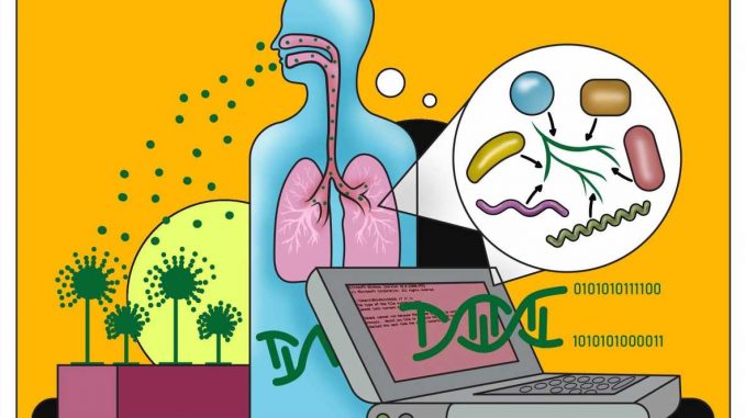 Understanding-how-Aspergillus-fumigatus-shapes-the-lungs.jpg